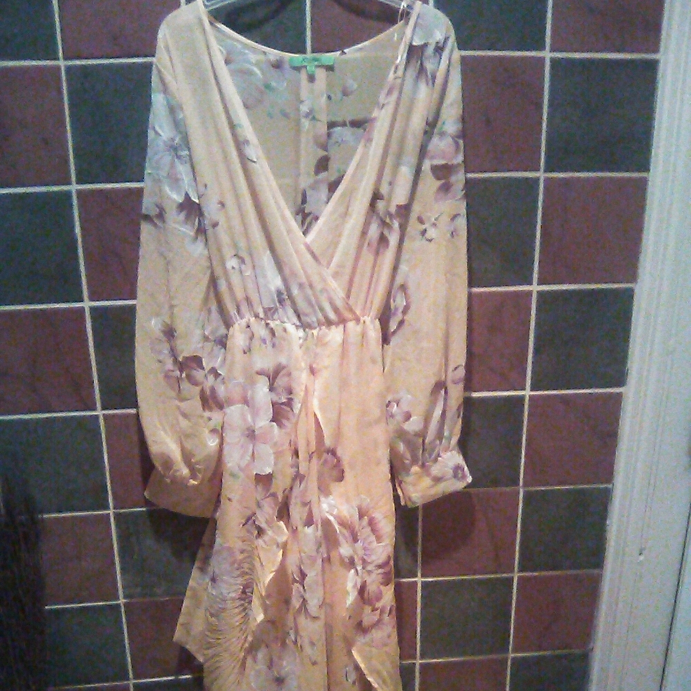 Bohemian Bishop's sleeve v-neck ruffle floral maxi